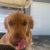 buddy09136
