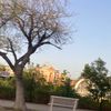 honey_bear73