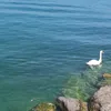 razo_622