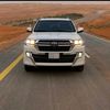 faisalahmad3700