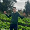 elshamy264