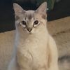 nicolebennett2825