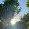 muayad_a17