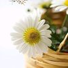 amal_a.kareem