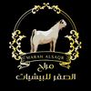 marah_alsaqr