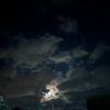 iix_539