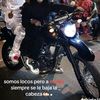 lagonza42