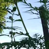 01050203v