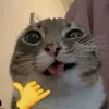có trìn khôn