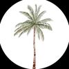 arwa_here
