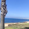 selma_signorina