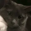 johnleric1