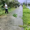 vantrungtrinh157
