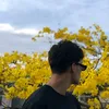 samucorreia_