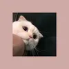 unboxbyyy