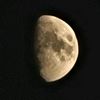 moonmanly