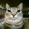 andyrajago623