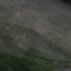 o_____ya1