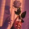 iriswimflower22