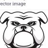 robdog6565