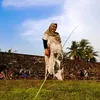 lutfia8896