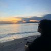 _imrxn18