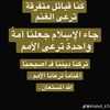 shfrr41
