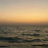 naouel445