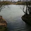 edenholmesx
