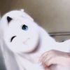 ___231____