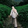 nssrsmy