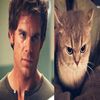 dexter._._._.morgan