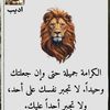 farsmohammad763