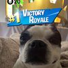 koa__15
