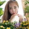 quynguyen8017