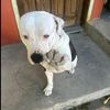 angelfranciscohernandez6