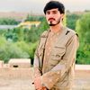 mumtazsadat543