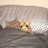 humanbeanmich