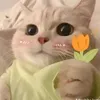 123huutinh0