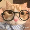 soi_cailon15