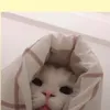 biannt47