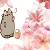 xxqquuww