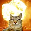 prrrbatapim
