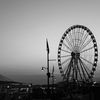 hashimi011
