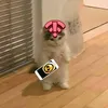 neliledr