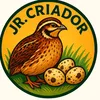 junior777360criador