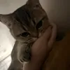 forgotmy2