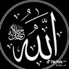 gm___m