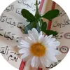 lus_894