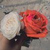sakib135676